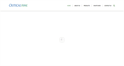 Desktop Screenshot of criticalaire.com